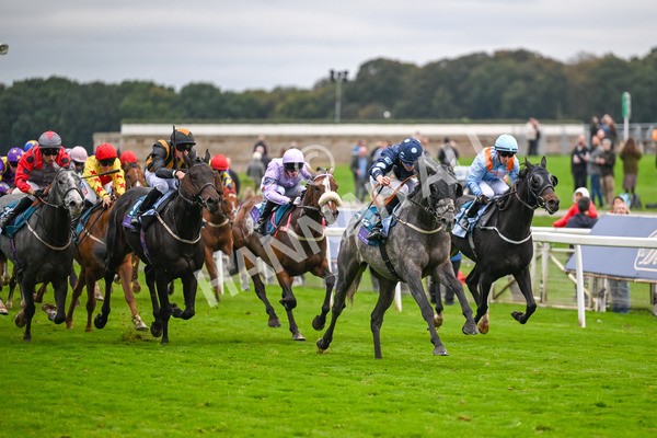 101025-Race 7-Sky Advocate-7160 - Race 7 PJ Staffing Group Apprentice Handicap at York