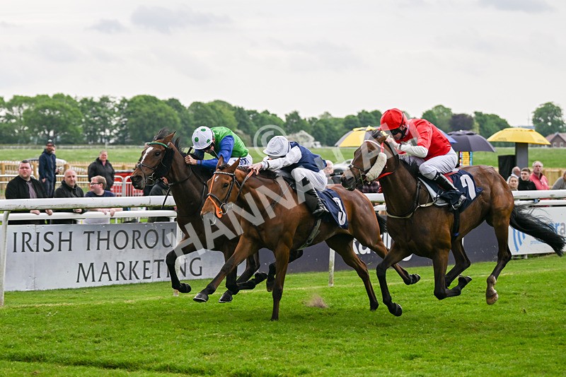 140524-Race 7-Spartan Warrior-3183 - Race 7