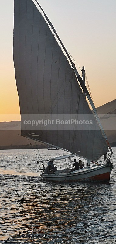IMG_20241124_165339 - Egypt