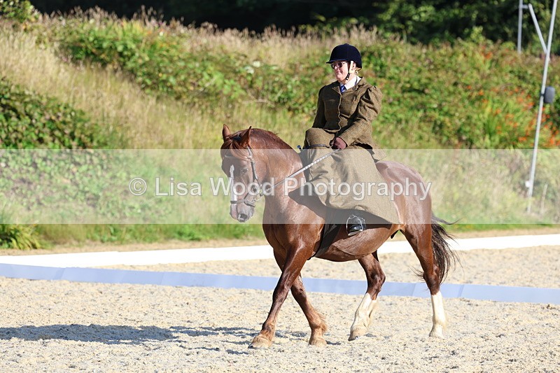 3E7A3817 - Class 3: Prelim 1 2024 Section A