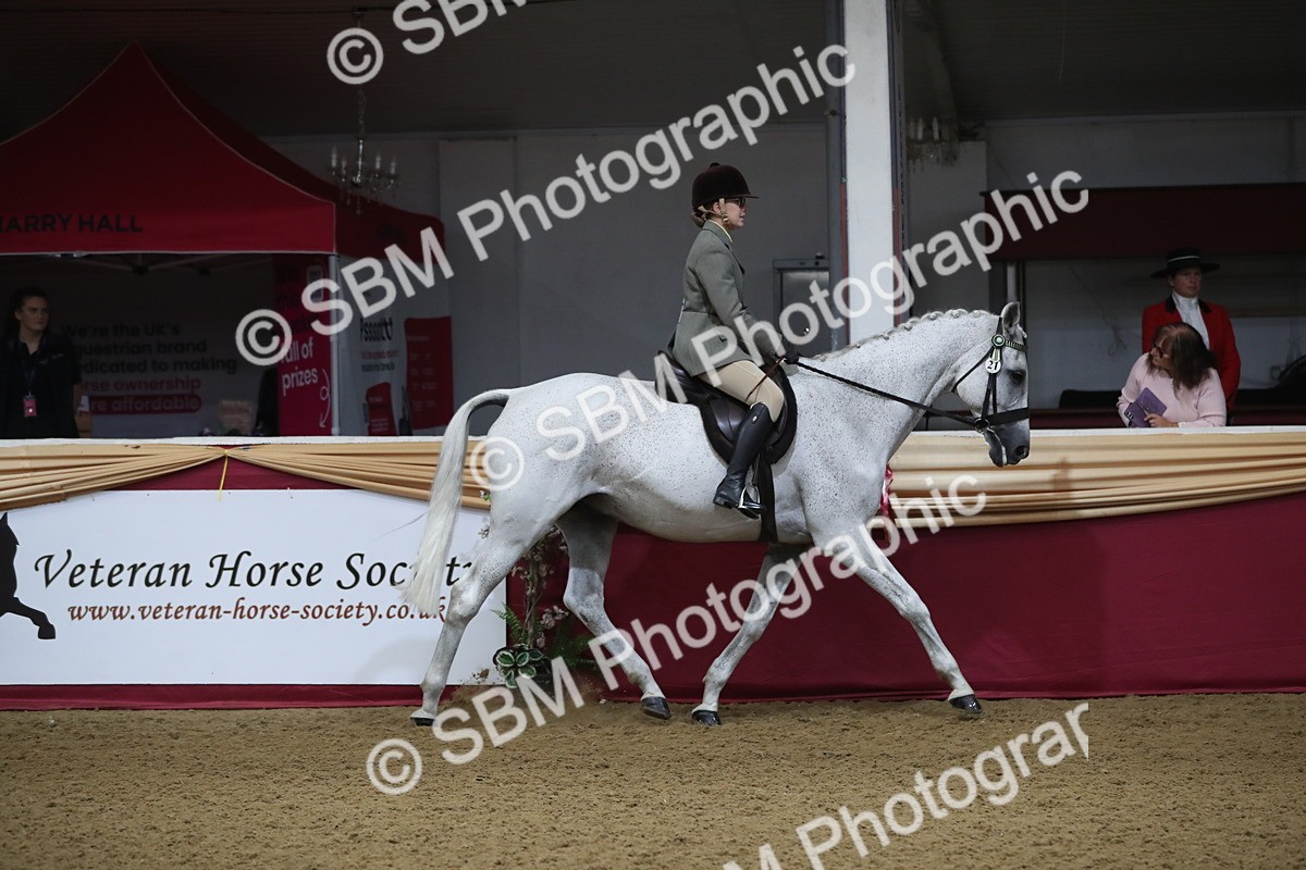 SBM_10333 - Class 102 Equitation (best rider) Adult