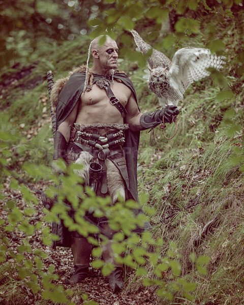Norse s-132 - The Vikings