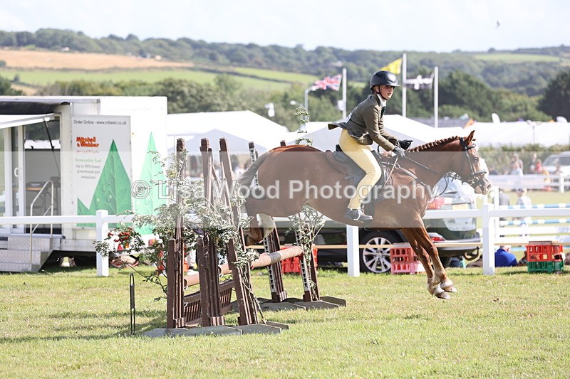 JPP_2769 - Class 20: Working Hunter 70cm