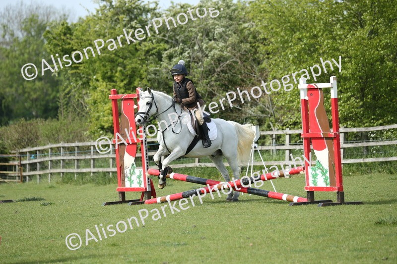 20260426-1530 - Class 14 - Novice 60cm