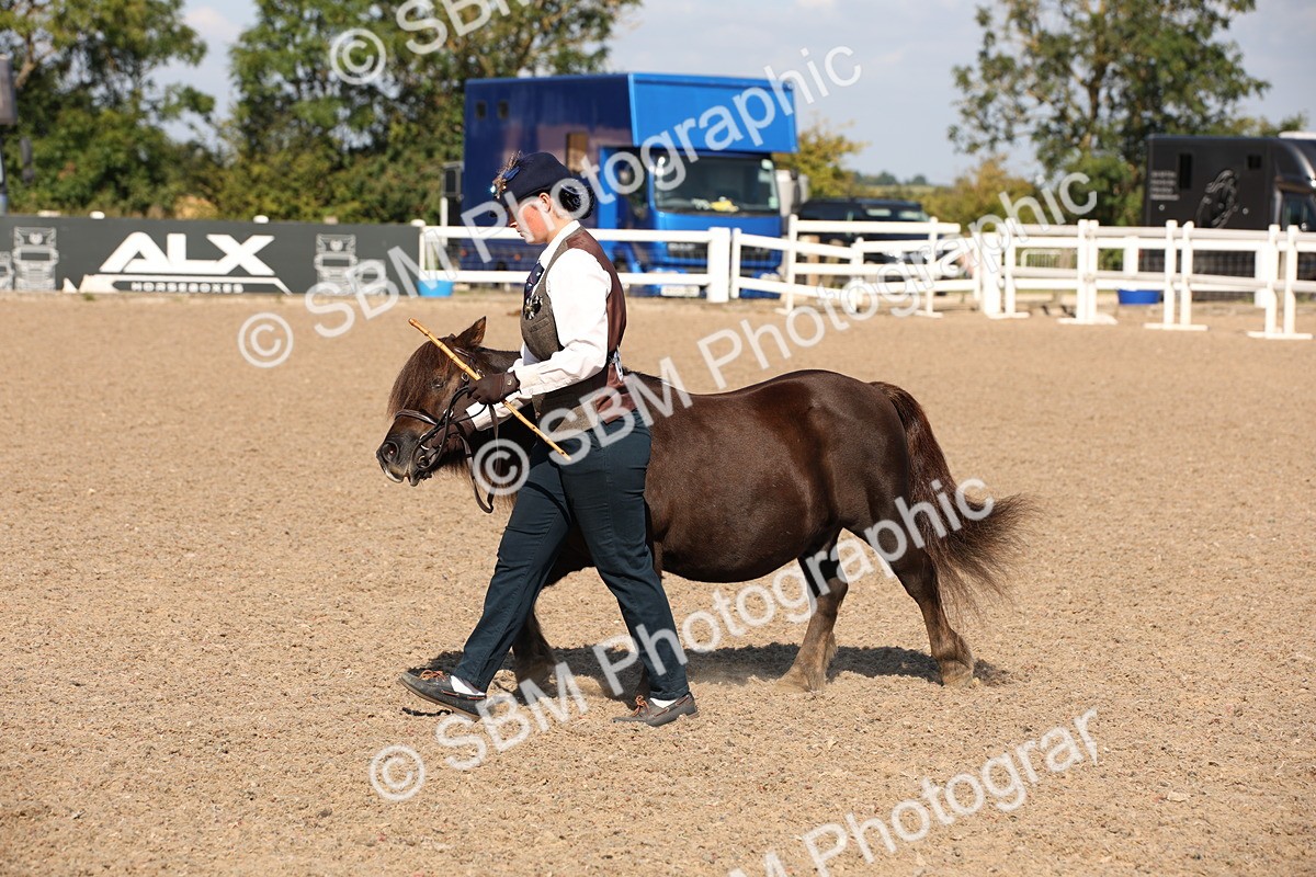 SBM_02744 - Class 16 IH M&M Wildcard