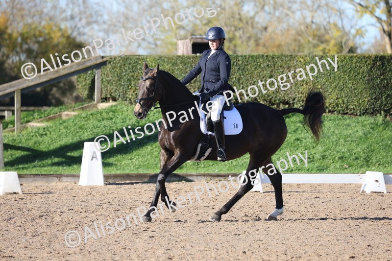 20251102-0401 - Class 3 - Novice 5