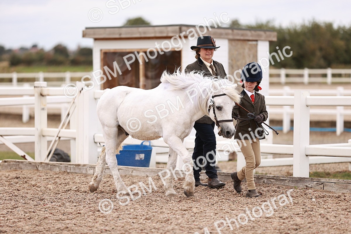 SBM_18550 - Class 421 - Childs Best Friend - Jnr