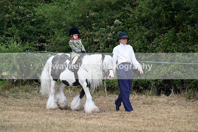 WJ7_6746 - Class 1 Lead Rein Pony