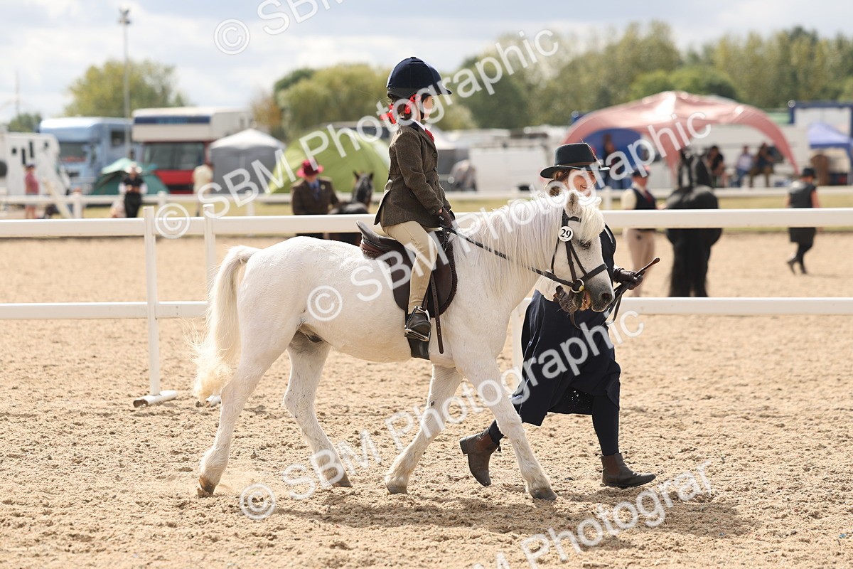 SBM_15768 - Class 309 - Lead Rein Pony