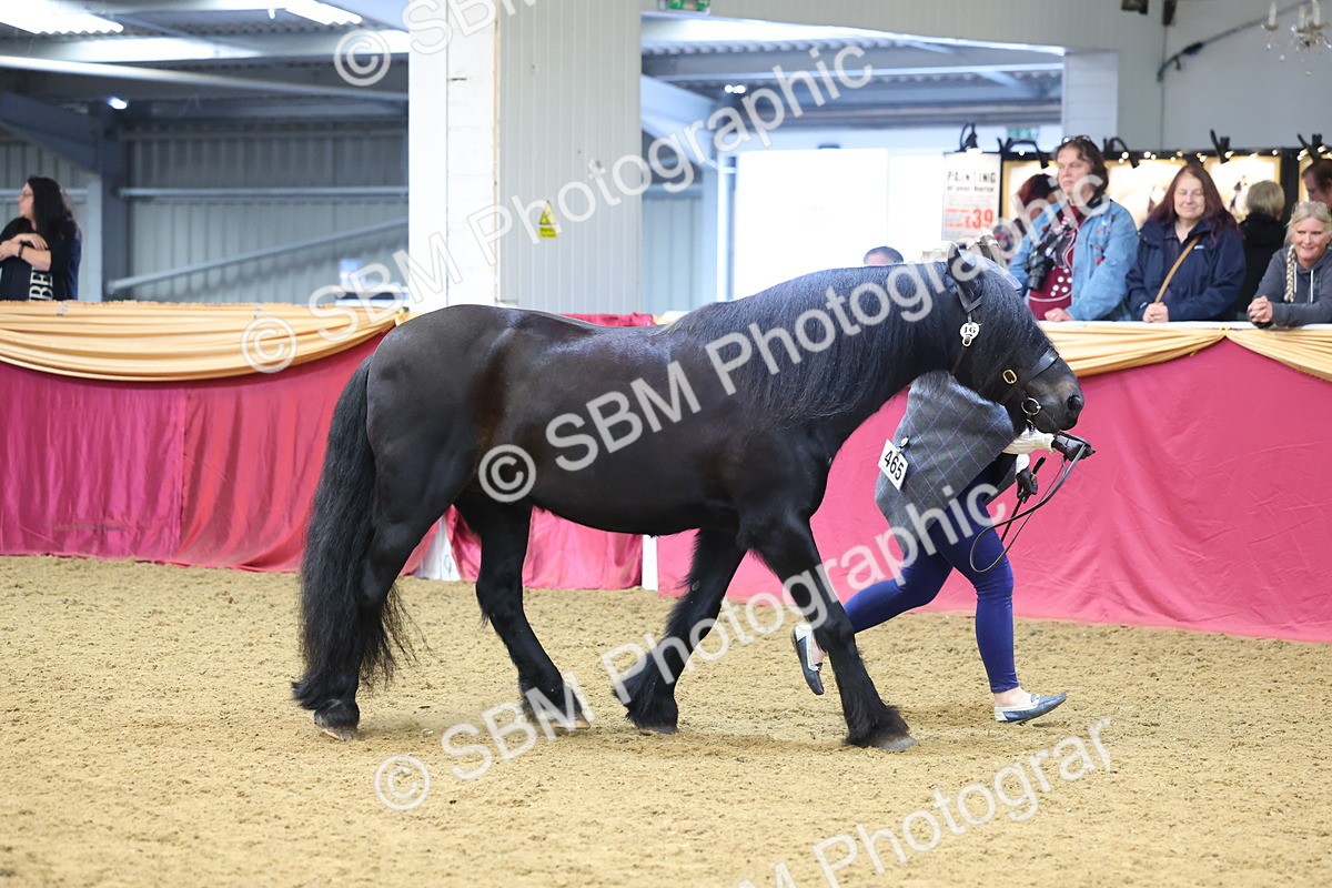 SBM_22663 - Class 903 - Supreme Final - IH Pre Vet