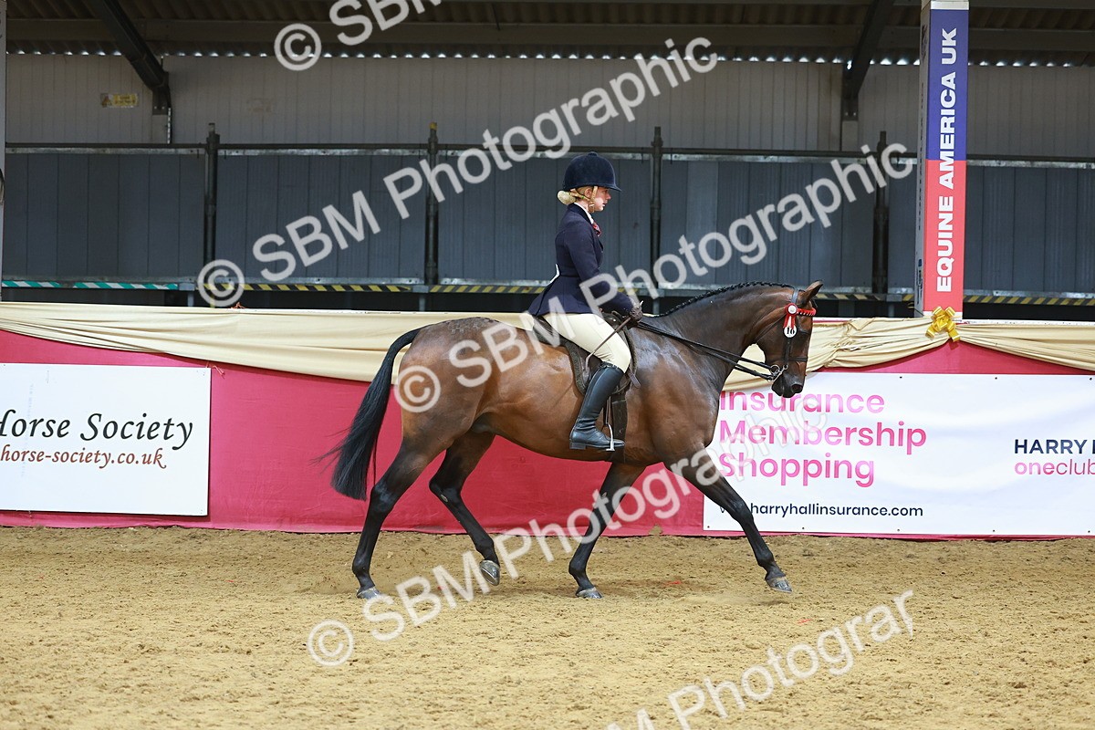 SBM_10524 - Class 103 - HOYS Veteran Qualifier - Ridden Pre Vet