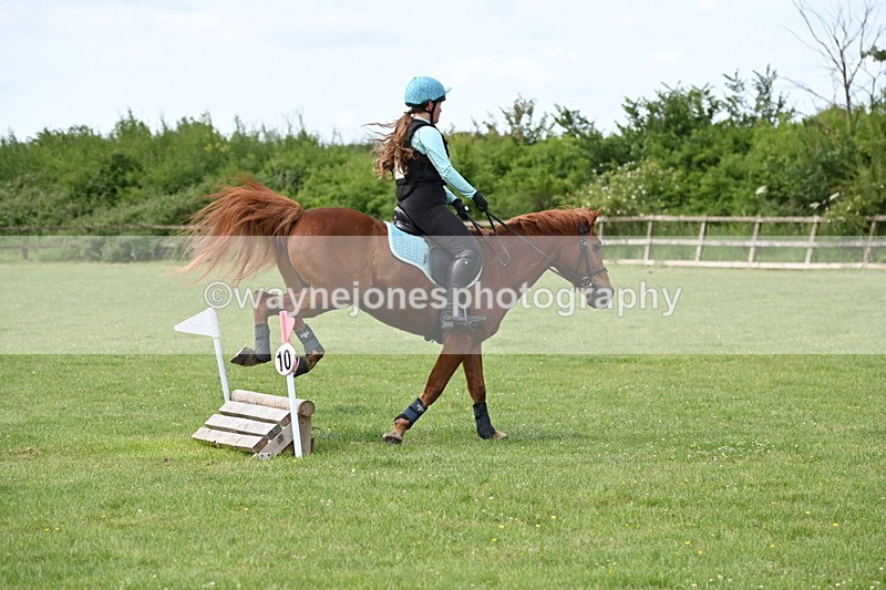 WJ6_2595 - Class 2 40cm