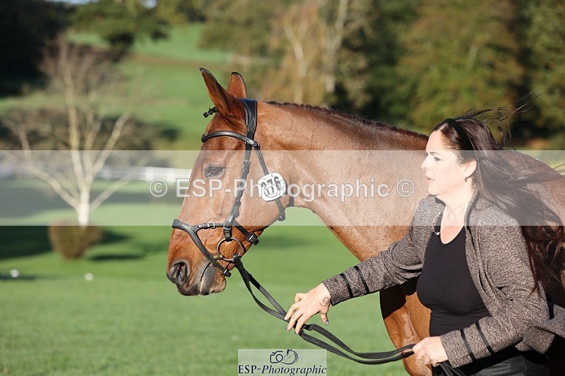 241027-085241-14871 - 376-Rachael.Hardman-WHIPPLETREE.HAILEYS.COMET