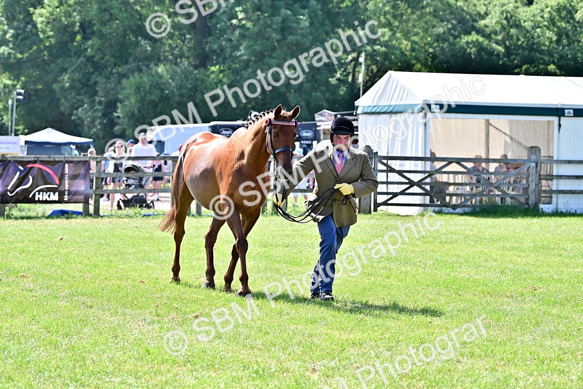 SBM_12863 - Class 98 - Retraining of Racehorse In Hand