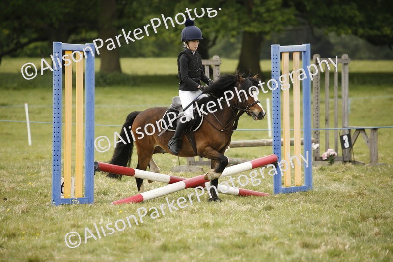 20250517-0947 - Class 2 - 30cm Off Lead Rein