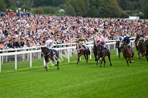 230825-Race 4-Ethical Diamond-0557 - Race 4 3.35pm Sky Bet Ebor Handicap