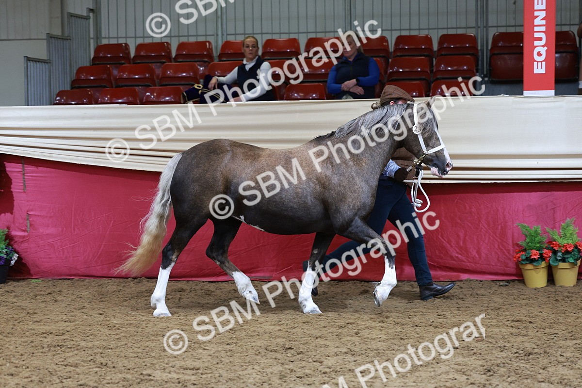 SBM_17393 - Class 951 - M&M IH Supreme Final