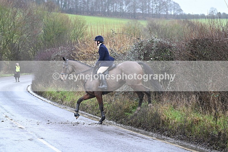 WJ7_7065 - Crossing A Camera