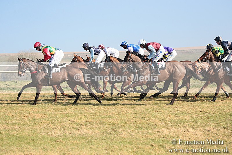 PtP 230219 66 - Vine & Craven Point-To-Point - Barbury 23/02/19