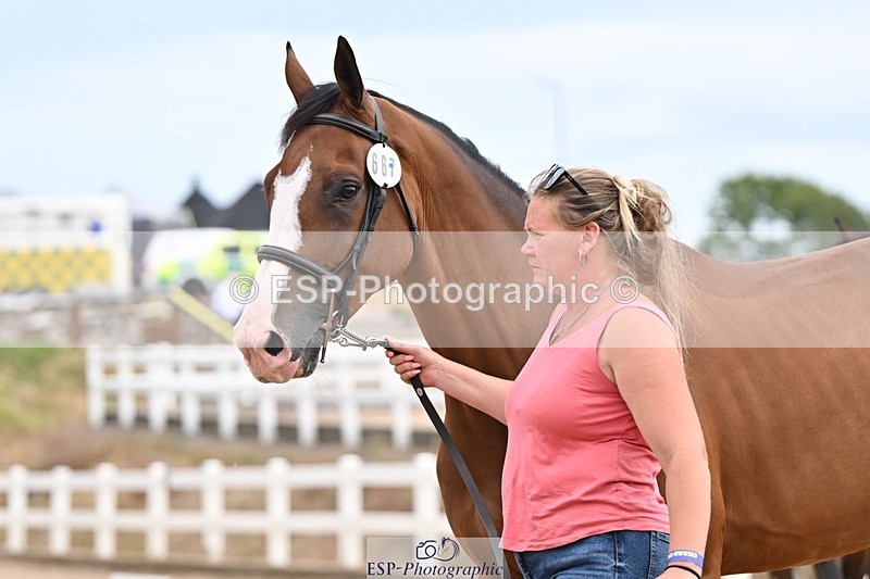 250716-152501-01919 - Trot Up 2.30 to 3.30