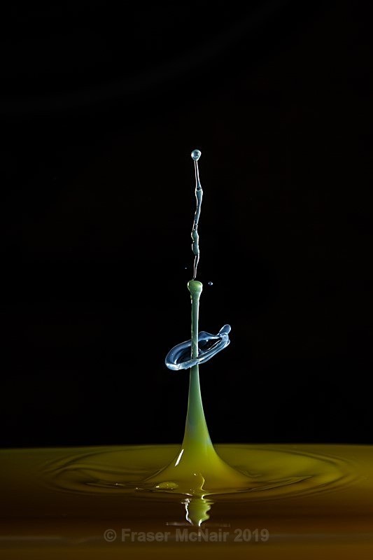 Water Droplet 9810 - Abstract Photography