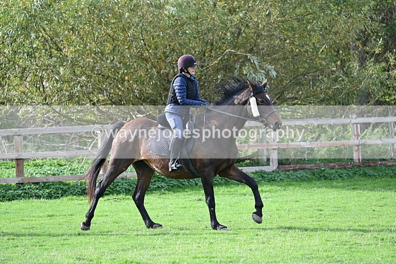 WJ7_1099 - Time 14:27 to 15:11