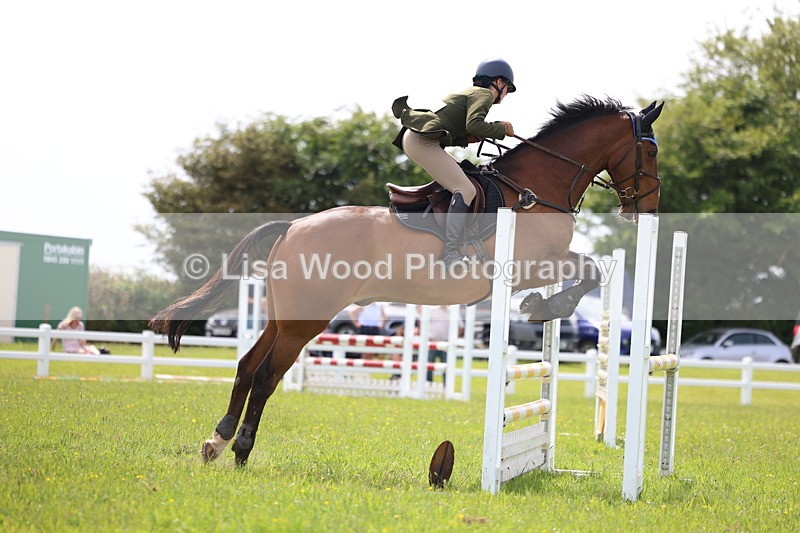 3E7A1873 - Class 13: Senior British Novice/90cm open