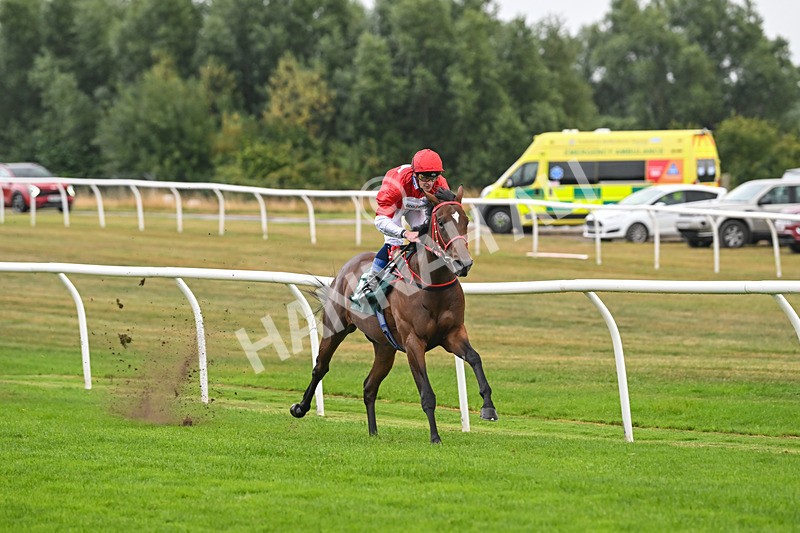 270825-Race 2-Rogue Attraction-4843 - Race 2