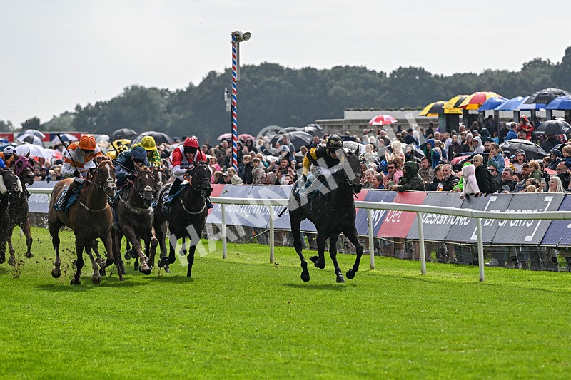 060926-Race 2-Oriental Prince-7189 - Race 2 2.05pm Fine Details Car Valeting Sprint Handicap