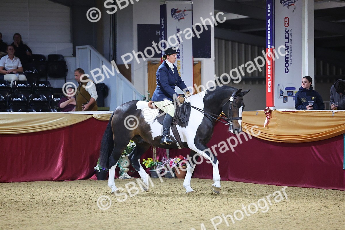 0B8A4453 - Class O Ridden Show Horse Champ
