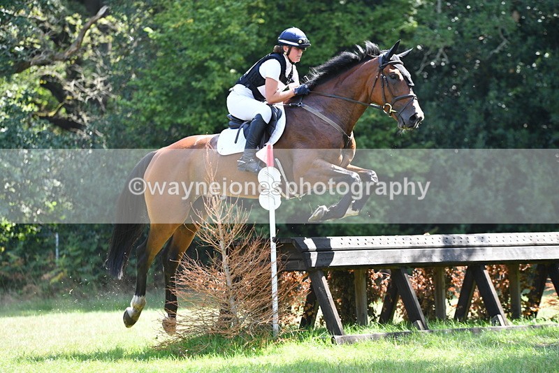 WJ5_3454 - XC Time 13:30 to 14:00