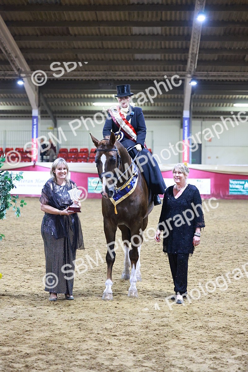 SBM_15037 - Class N - Side Saddle Champ