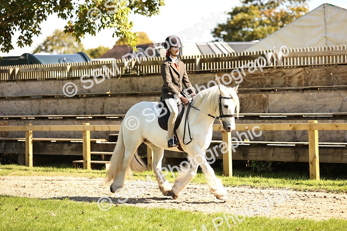 SBM_19250 - S3 - TSR Ridden Pony Showing
