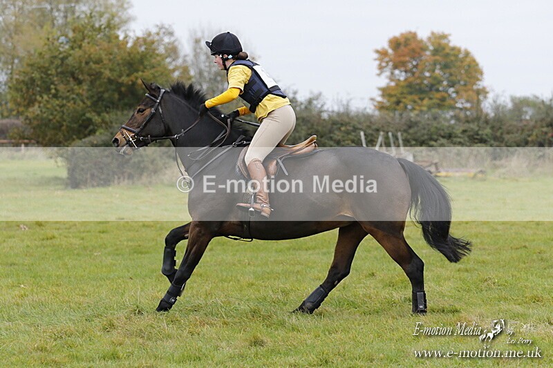 WWHT 181020 WWHT 181020 606 - WWEC Open Novice (0.80m) 18/10/20
