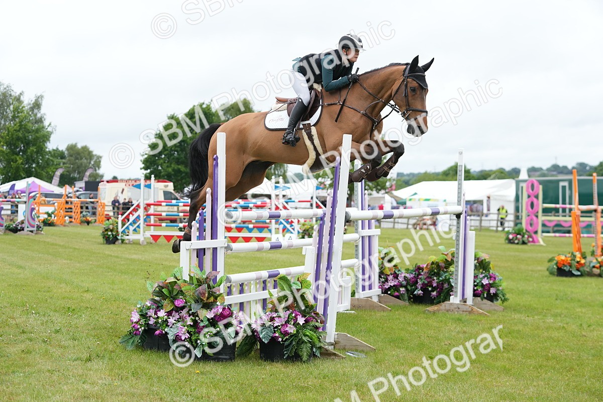 SBM_03477 - Class 201 - British Horse Feeds Speedi Beet Horse of the Year Show Grade  C