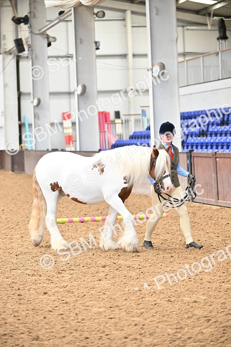 SBM_000267 - Class 10 - In Hand Coloured & Odd Coloured