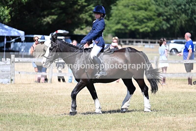 WJ7_3687 - Class 8 Ridden Veterans