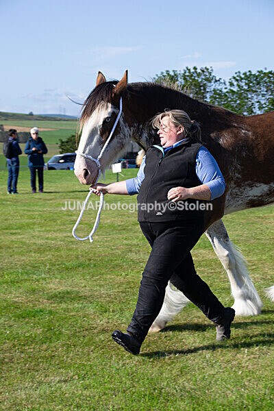 DSC_0053 - Ring 1