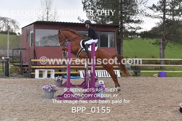 BPP_0155 - CLASS 1 FRI Club/ Unaffiliated 80cms Open