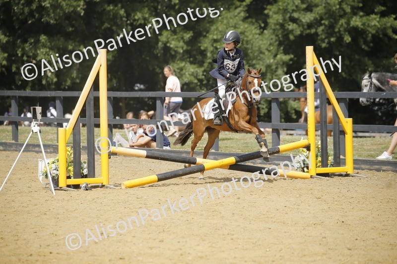 20250622-3944 - 50cm