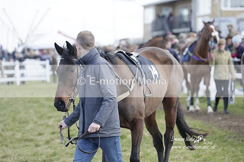 PtP 260223 373 - South & West Wilts Point-to-Point Larkhill 26/02/23