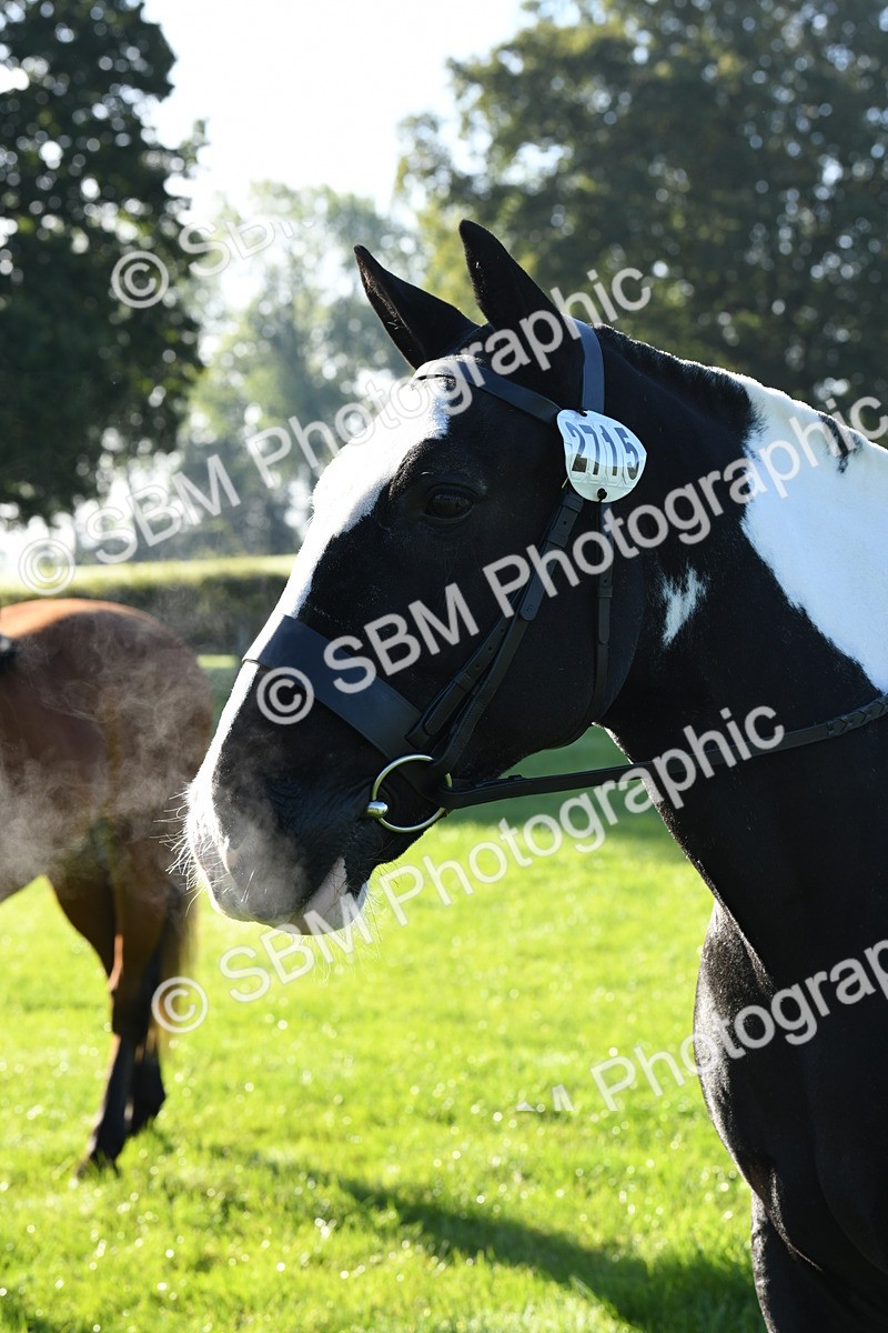 SBM_34047 - S16 - Condition & Turnout - Ridden