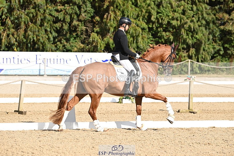 250808A-170431-02244 - Preliminary GOLD Presentations