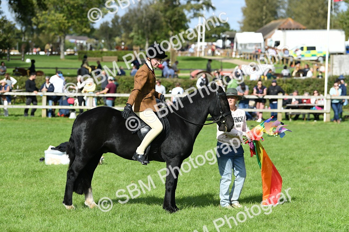 SBM_47081 - S12 - Family Horse & Pony