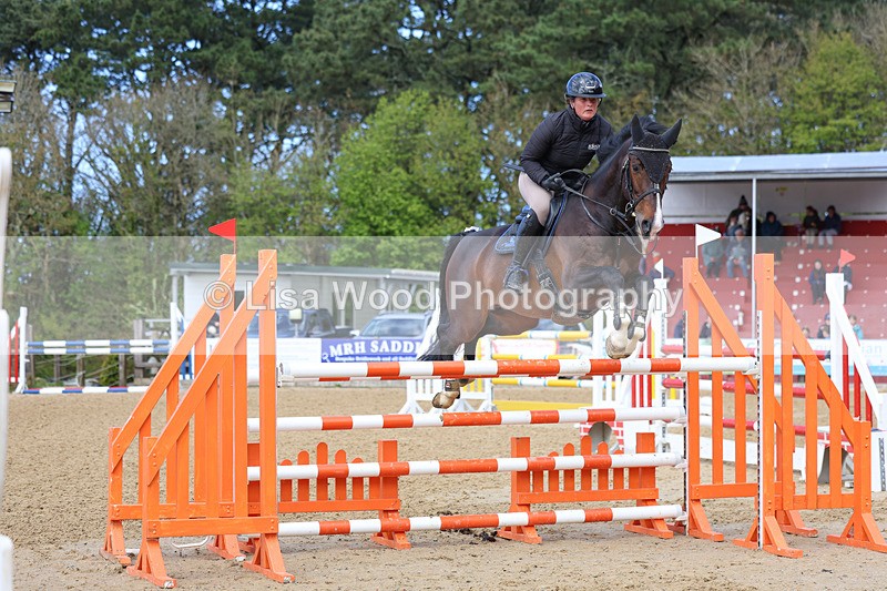 3E7A2318 - Class 8: Senior Foxhunter/1.20 open