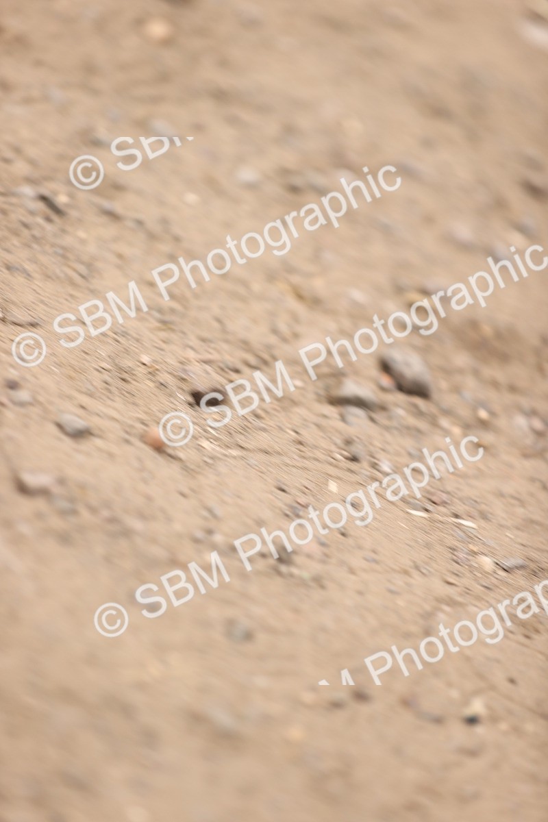 SBM_000508