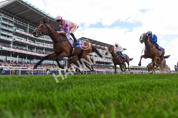 yr19082022r1-28 - Race 1 1.50pm Sky Bet Stakes