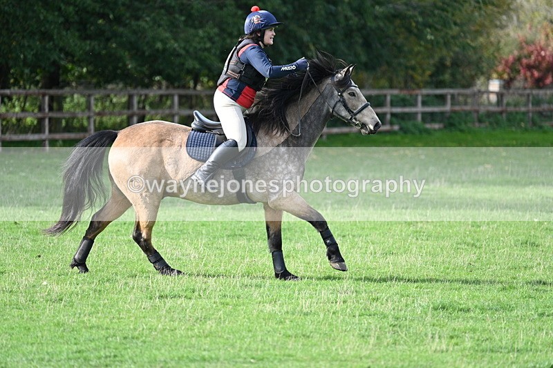 WJ7_1074 - Time 14:27 to 15:11