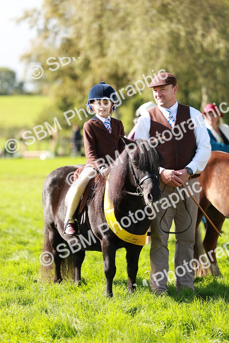 SBM_42158 - S32 - Mountain & Moorland Working Hunter Pony