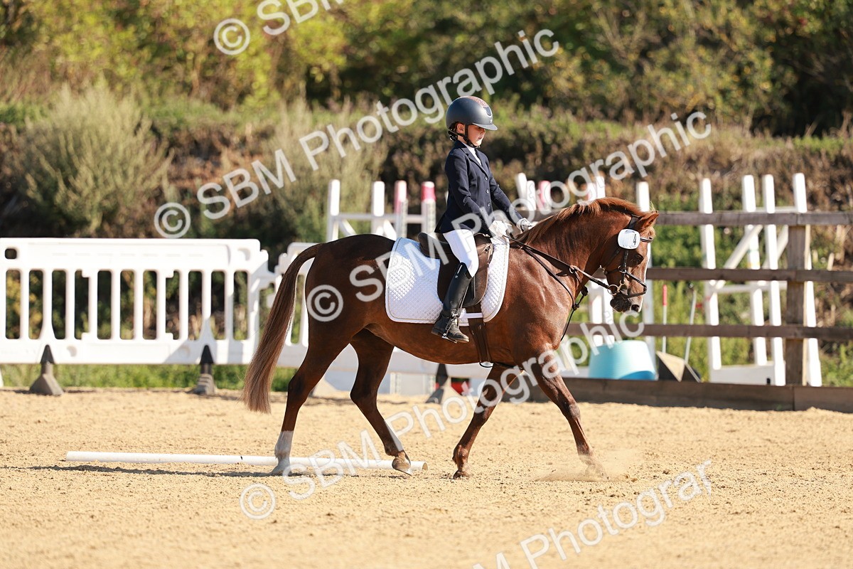 SBM_009175